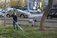 Участие в общегородском осеннем субботнике.