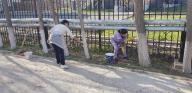 On the eve of the holiday Nauryz in the branch of the RSE "Gosexpertiza" in the southern region in Shymkent held citywide clean