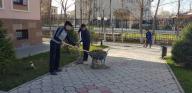 Наурыз мейрамы қарсаңында «Мемсараптама» РМК-да Шымкент қаласындағы оңтүстік аймағы бойынша жалпы қалалық сенбілік өткізілді